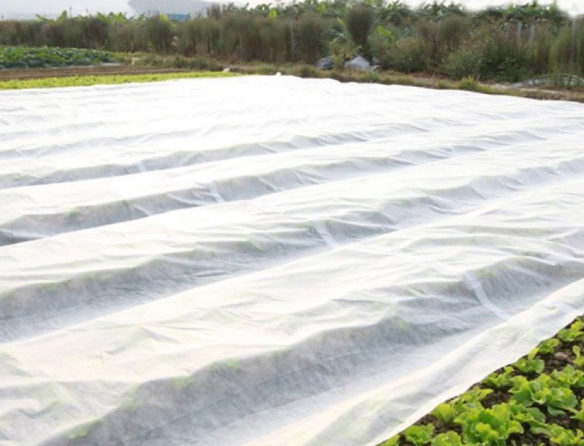 Agricoltura